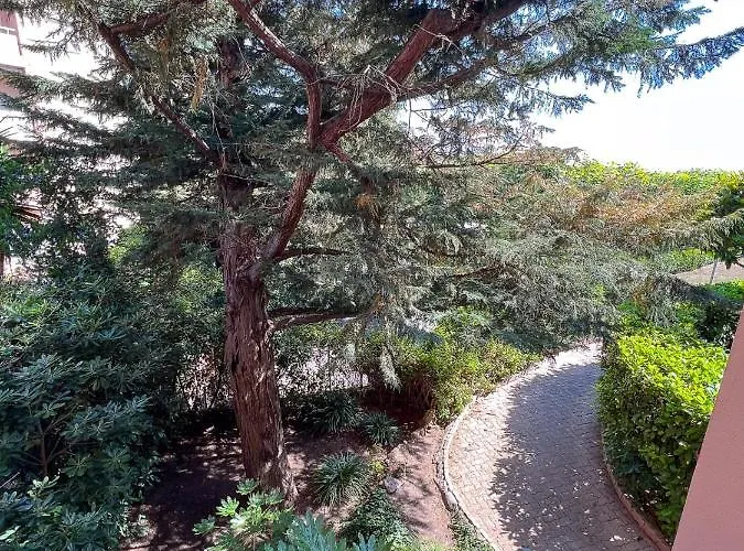 La Badine Airco Pool For 2 By Sunset Antibes